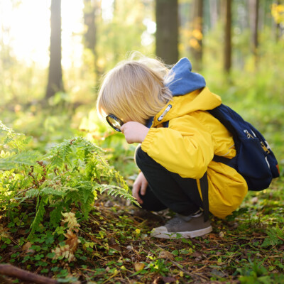 kind_im_wald_iStock-1303202663
